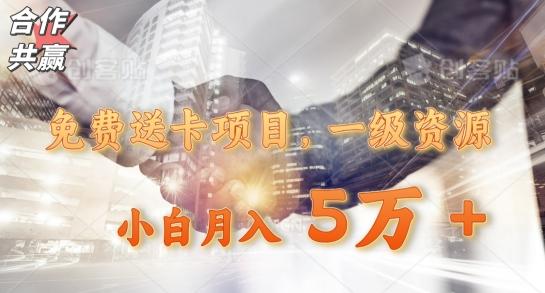 免费送卡项目，一级资源，小白月入5万+-巅峰资源网
