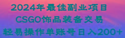 2024年最佳副业项目 CSGO饰品装备交易 轻易操作单账号日入200+-巅峰资源网