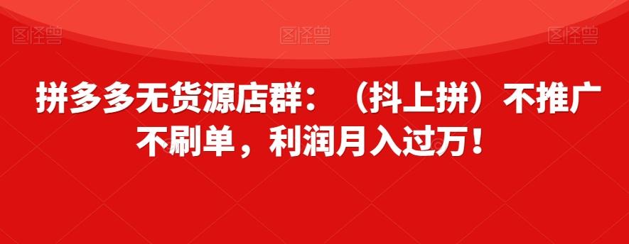拼多多无货源店群：（抖上拼）不推广不刷单，利润月入过万！【揭秘】-巅峰资源网