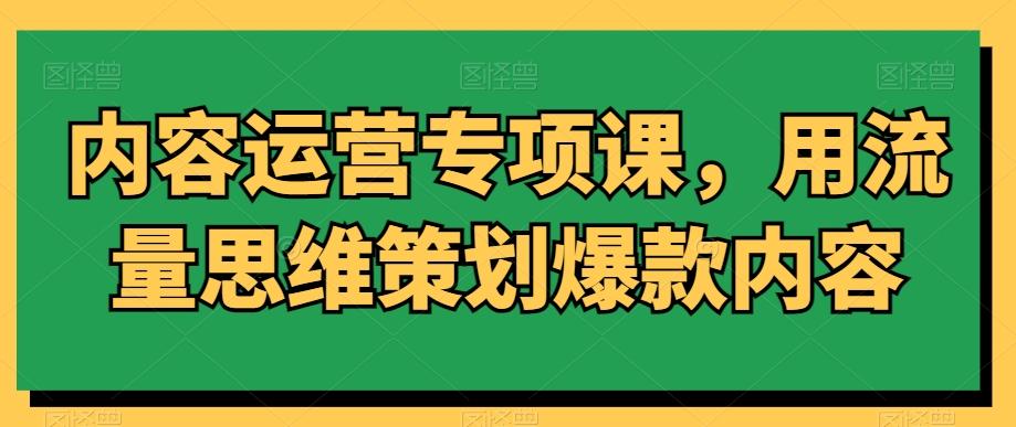 内容运营专项课，用流量思维策划爆款内容-巅峰资源网