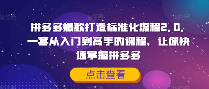 拼多多爆款打造标准化流程2.0，一套从入门到高手的课程，让你快速掌握拼多多-巅峰资源网