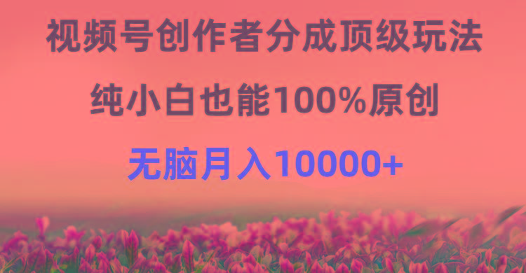 (9608期)视频号创作者分成顶级玩法，纯小白也能100%原创，无脑月入10000+-巅峰资源网