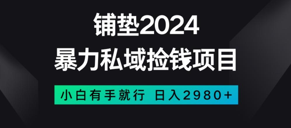 暴力私域捡钱项目，小白无脑操作，日入2980【揭秘】-巅峰资源网