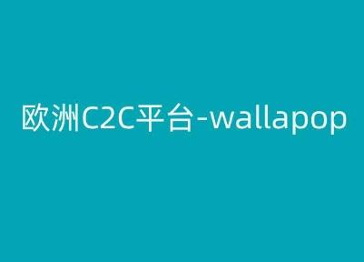 欧洲C2C平台-wallapop-kim跨境电商教程-巅峰资源网