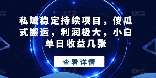 私域稳定持续项目，傻瓜式搬运，利润极大，小白单日收益几张【揭秘】-巅峰资源网