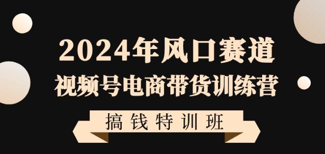 2024年风口赛道视频号电商带货训练营搞钱特训班，带领大家快速入局自媒体电商带货-巅峰资源网