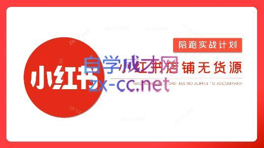 安琪·小红书店铺无货源-巅峰资源网