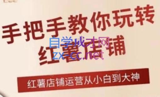 海燕老师·2024手把手教你玩转红薯店铺-巅峰资源网