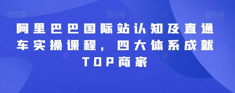 阿里巴巴国际站认知及直通车实操课程，四大体系成就TOP商家-巅峰资源网