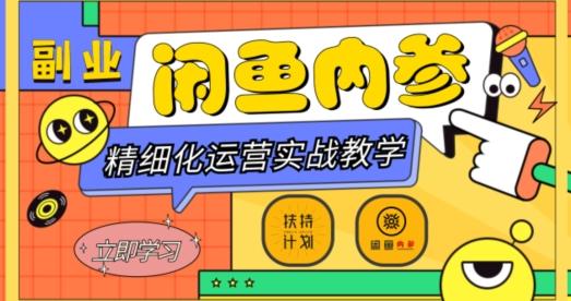 闲鱼精细化运营入门+高阶实战教学，从底层逻辑到轻松变现，多维度玩转闲鱼副业-巅峰资源网