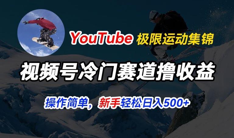 视频号冷门赛道撸收益，YouTube搬运极限运动集锦，暴力起号，操作简单流量高，轻松日入5张【揭秘】-巅峰资源网