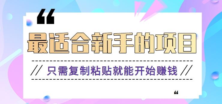 2024最适合新手操作的项目，新手小白只需复制粘贴就能开始赚钱【视频教程+软件】-巅峰资源网