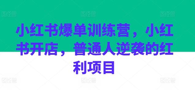 小红书爆单训练营，小红书开店，普通人逆袭的红利项目-巅峰资源网