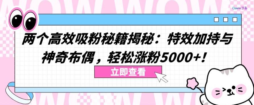 两个高效吸粉秘籍揭秘：特效加持与神奇布偶，轻松涨粉5000+【揭秘】-巅峰资源网