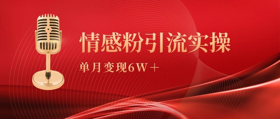 (9473期)单月变现6w+，情感粉引流变现实操课-巅峰资源网