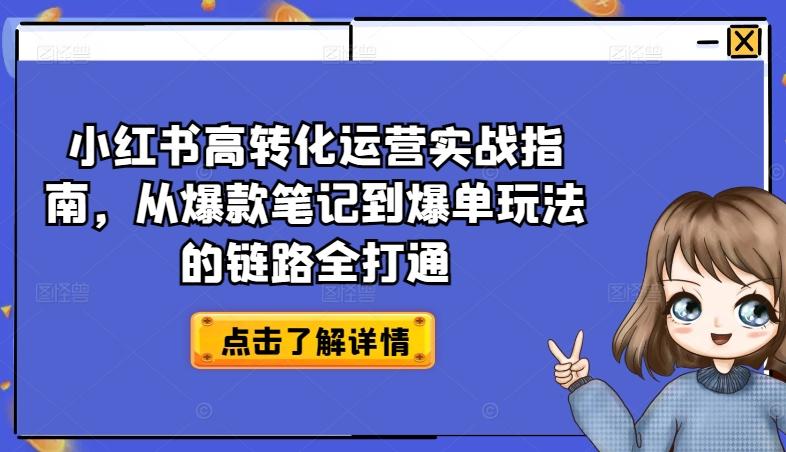 小红书高转化运营实战指南，从爆款笔记到爆单玩法的链路全打通-巅峰资源网