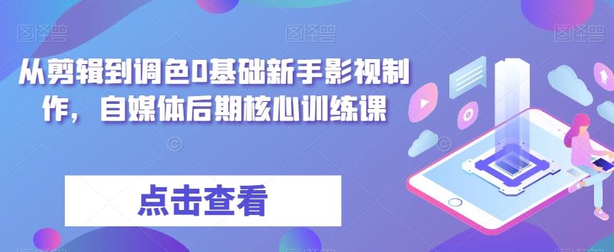从剪辑到调色0基础新手影视制作，自媒体后期核心训练课-巅峰资源网