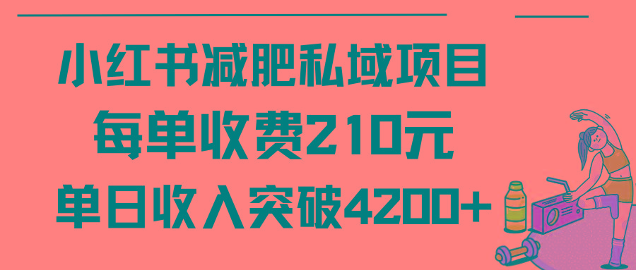 (9466期)小红书减肥私域项目每单收费210元单日成交20单，最高日入4200+-巅峰资源网