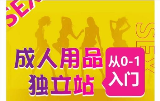 成人用品独立站从0-1入门，成品独立站运营全流程教学，七大好卖成品独立站推荐-巅峰资源网