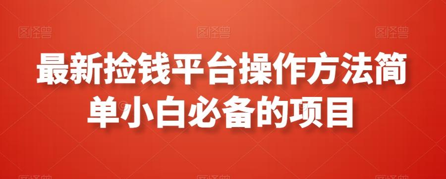 最新捡钱平台操作方法简单小白必备的项目-巅峰资源网