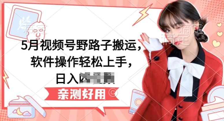 5月视频号野路子搬运，软件操作轻松上手，日入三位数【揭秘】-巅峰资源网