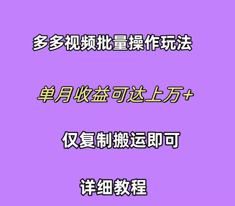 (10029期)拼多多视频带货快速过爆款选品教程 每天轻轻松松赚取三位数佣金 小白必...-巅峰资源网