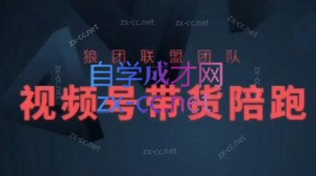 狼团联盟·2024视频号带货-巅峰资源网