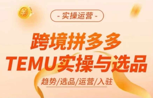 跨境拼多多TEMU实操与选品，多多temu跨境选品运营实操-巅峰资源网