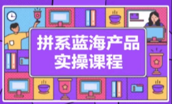 拼系冷门蓝海产品实操课程，从注册店铺到选品上架到流量维护环环相扣-巅峰资源网