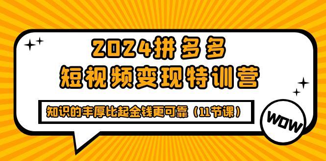 (9817期)2024拼多多短视频变现特训营，知识的丰厚比起金钱更可靠(11节课)-巅峰资源网