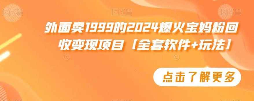 外面卖1999的2024爆火宝妈粉回收变现项目【全套软件+玩法】【揭秘】-巅峰资源网