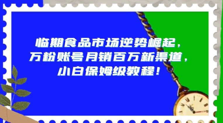 临期食品市场逆势崛起，万粉账号月销百万新渠道，小白保姆级教程【揭秘】-巅峰资源网
