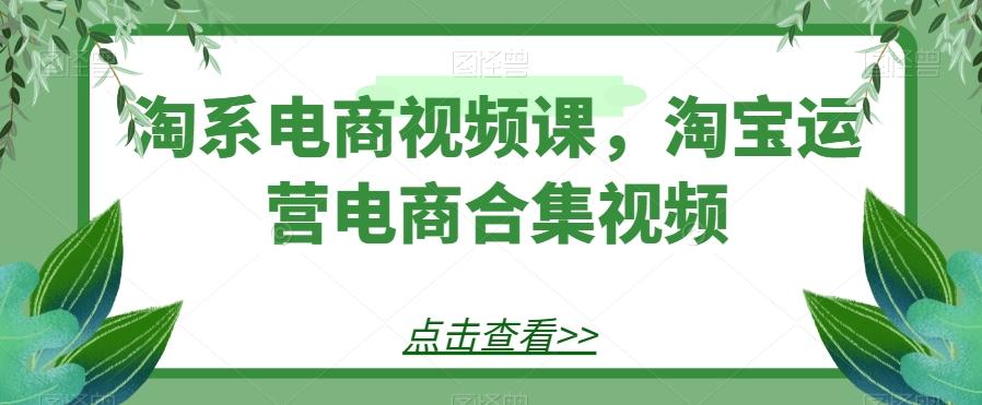 淘系电商视频课，淘宝运营电商合集视频-巅峰资源网