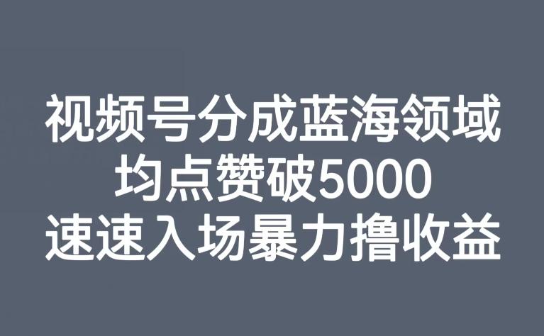 视频号分成蓝海领域，均点赞破5000，速速入场暴力撸收益-巅峰资源网