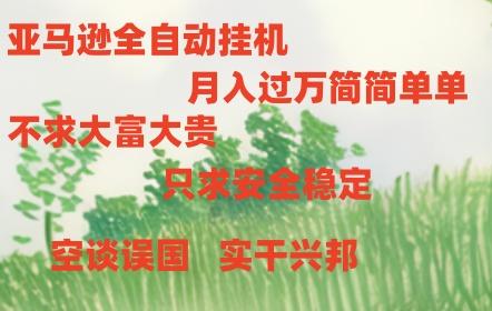 亚马逊全自动浏览挂机，，收益稳定且前景广阔-巅峰资源网