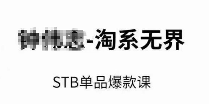 淘系无界STB单品爆款课(2024)，付费带动免费的核心逻辑，万相台无界关键词推广/精准人群的核心-巅峰资源网