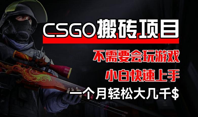 CSGO 装备搬砖项目，操作简单，不需要会玩游戏，小白也能快速上手，一个月轻松大几千【揭秘】-巅峰资源网