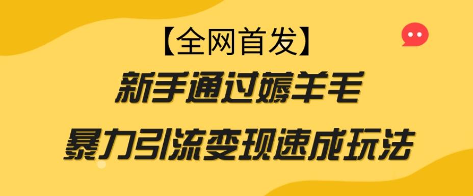 【全网首发】新手通过薅羊毛暴力引流变现速成玩法-巅峰资源网
