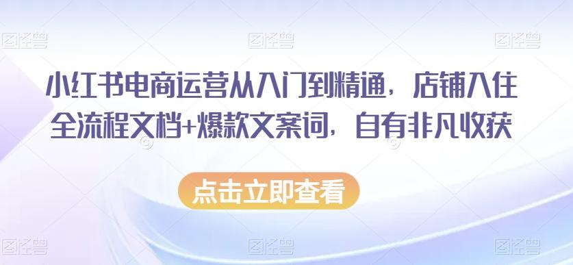 小红书电商运营从入门到精通，店铺入住全流程文档+爆款文案词，自有非凡收获-巅峰资源网