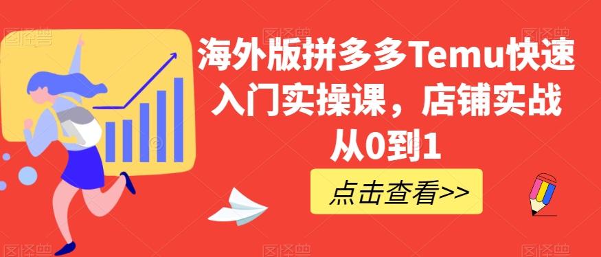 海外版拼多多Temu快速入门实操课，店铺实战从0到1-巅峰资源网