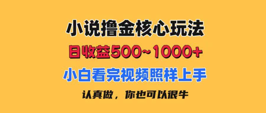 小说撸金核心玩法，日收益500-1000+，小白看完照样上手，0成本有手就行-巅峰资源网