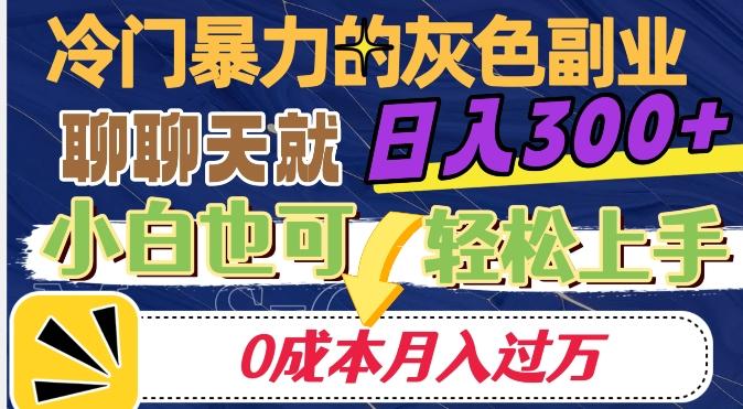 冷门暴利的副业项目，聊聊天就能日入300+，0成本月入过万【揭秘】-巅峰资源网