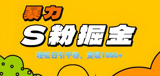 单人单机日引千粉，变现1k+，S粉流量掘金计划攻略【揭秘】-巅峰资源网