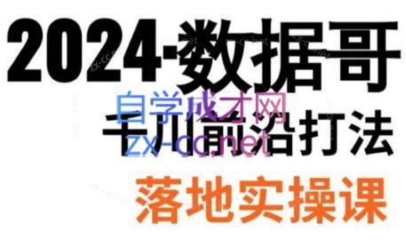 数据哥·2024年千川前沿打法落地实操课-巅峰资源网