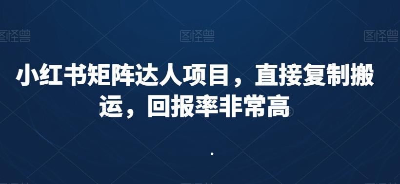 小红书矩阵达人项目，直接复制搬运，回报率非常高-巅峰资源网