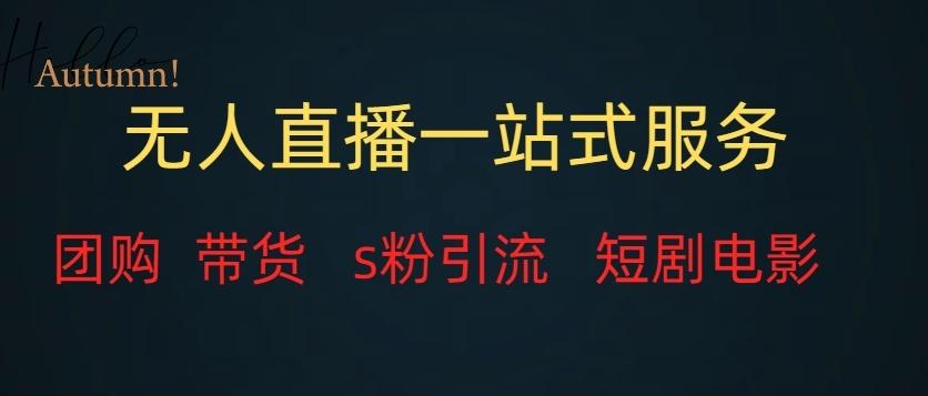无人直播一站式服务（教程以及变现方式）-巅峰资源网