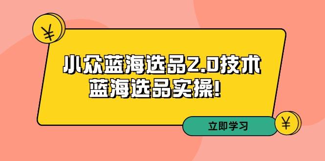 拼多多培训第33期：小众蓝海选品2.0技术-蓝海选品实操！-巅峰资源网