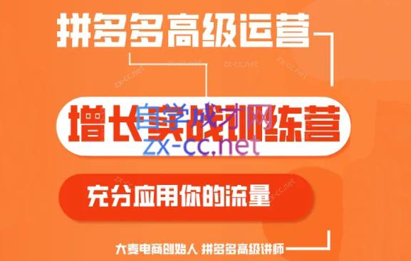 大麦老师·拼多多单品爆款打造课程(更新6月)-巅峰资源网