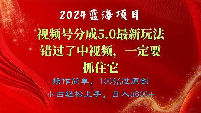 2024蓝海项目，视频号分成计划5.0最新玩法，错过了中视频，一定要抓住…-巅峰资源网