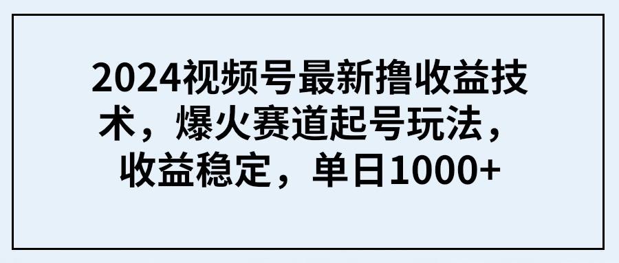 (9651期) 2024视频号最新撸收益技术，爆火赛道起号玩法，收益稳定，单日1000+-巅峰资源网